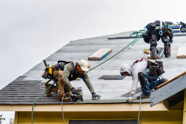 Professional Storm Damage Roof Repair technician working in Akron, NY